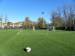 The new synthetic field of the Castellanzese Team - foto 15